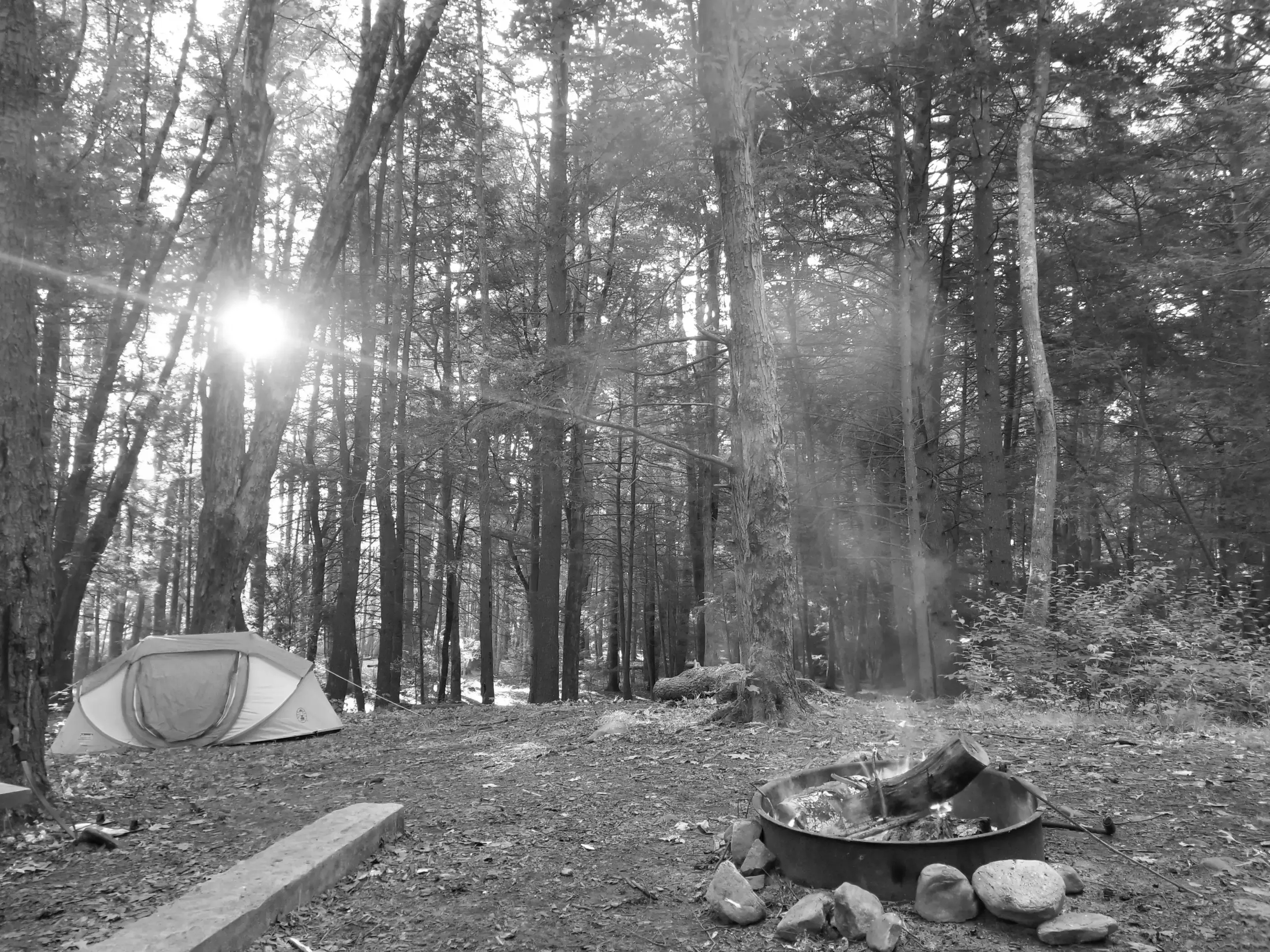 Best Waterbury Campgrounds
