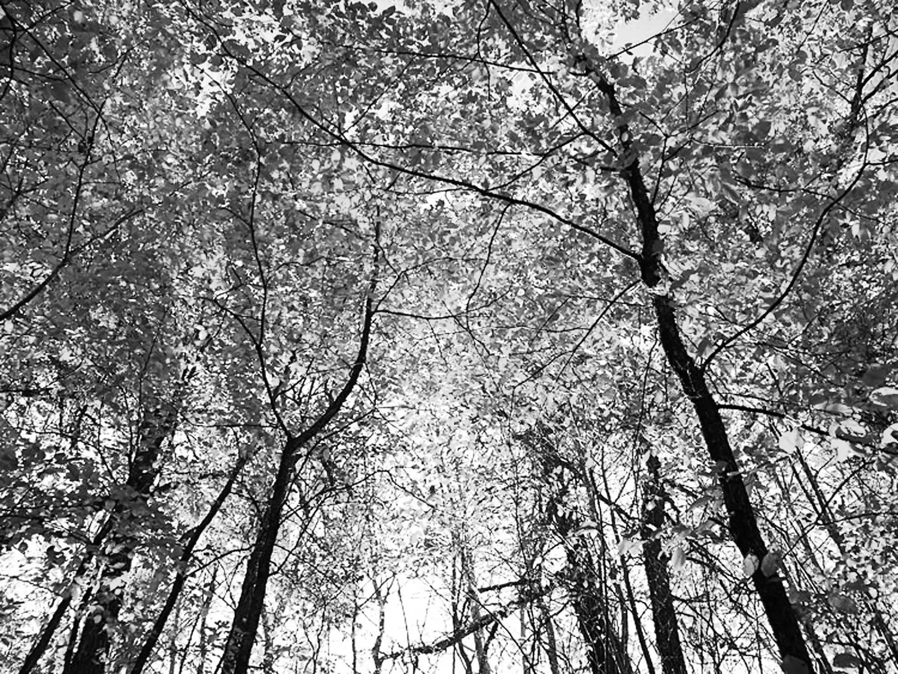 Best Waubay Campgrounds