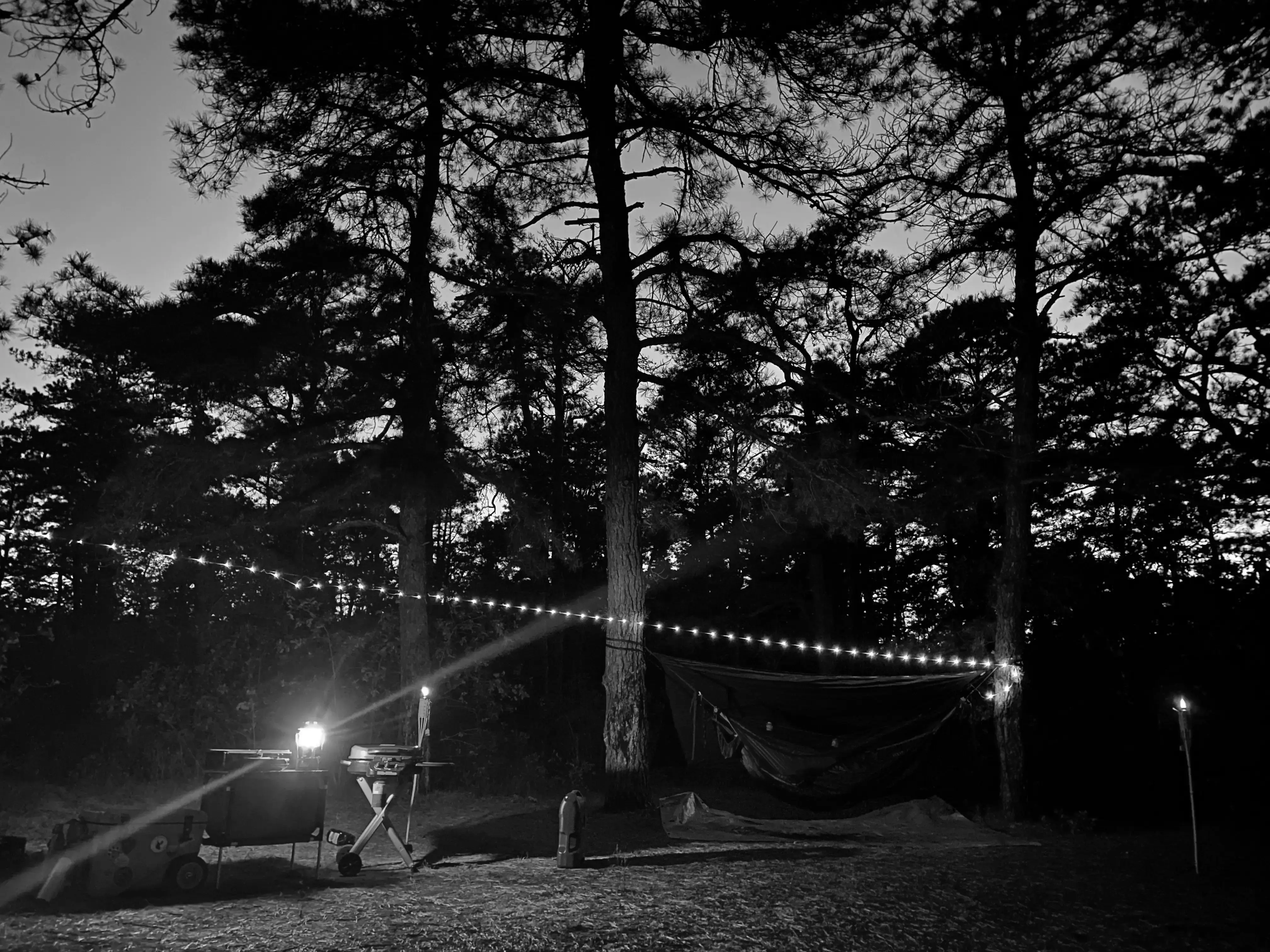 Best Wharton Campgrounds