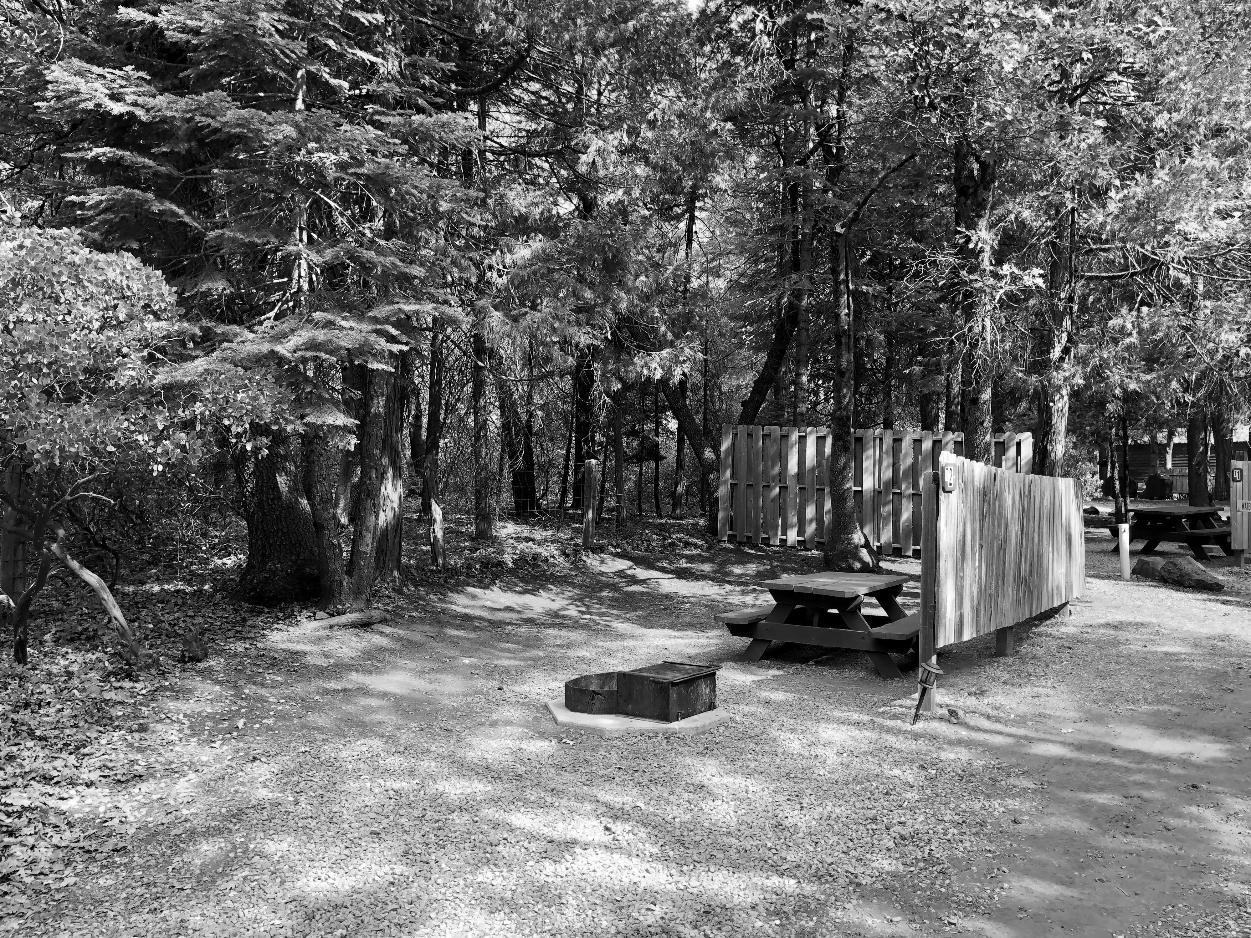 Best Whitmore Lake Campgrounds