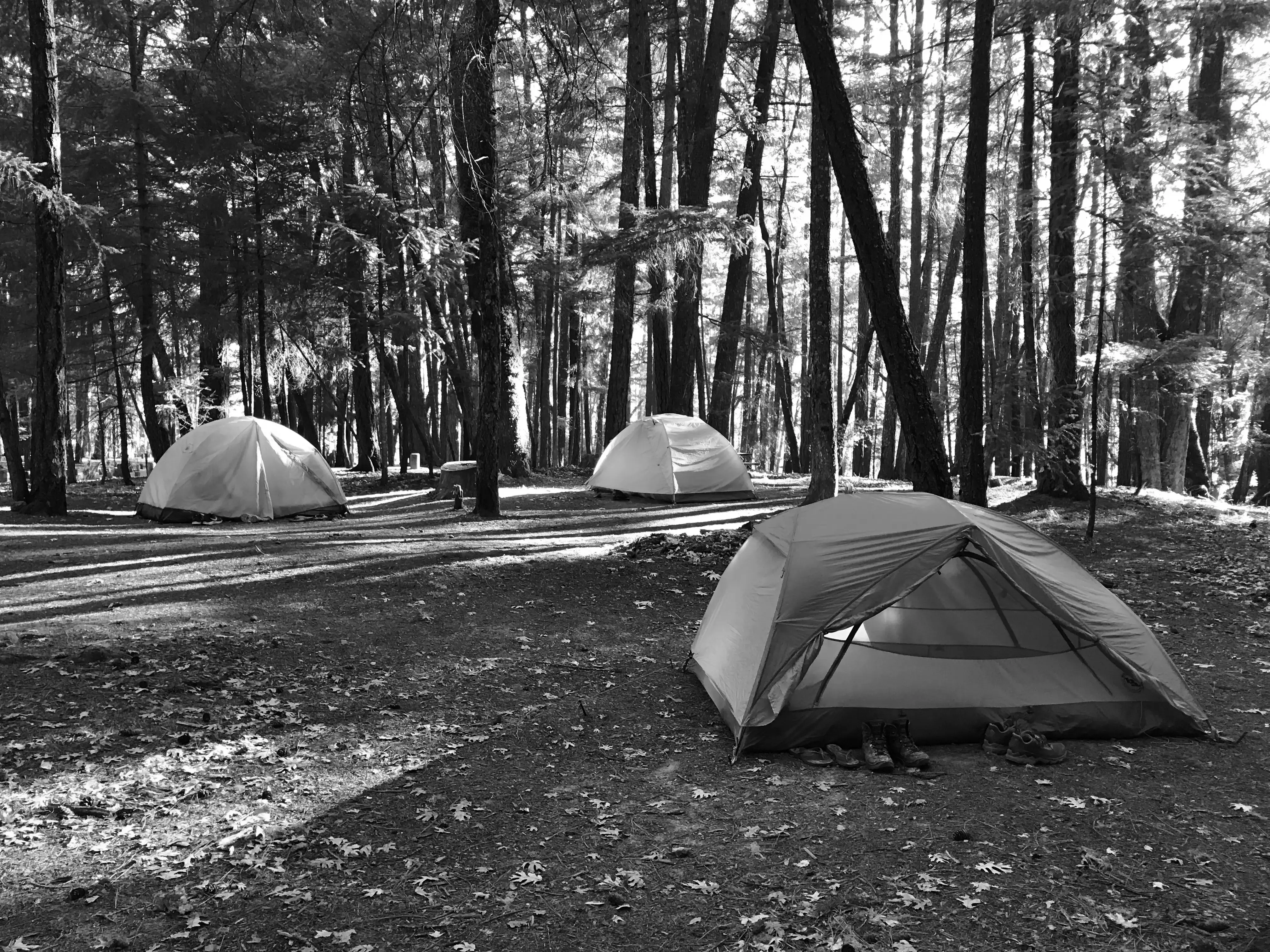 Best Willits Campgrounds