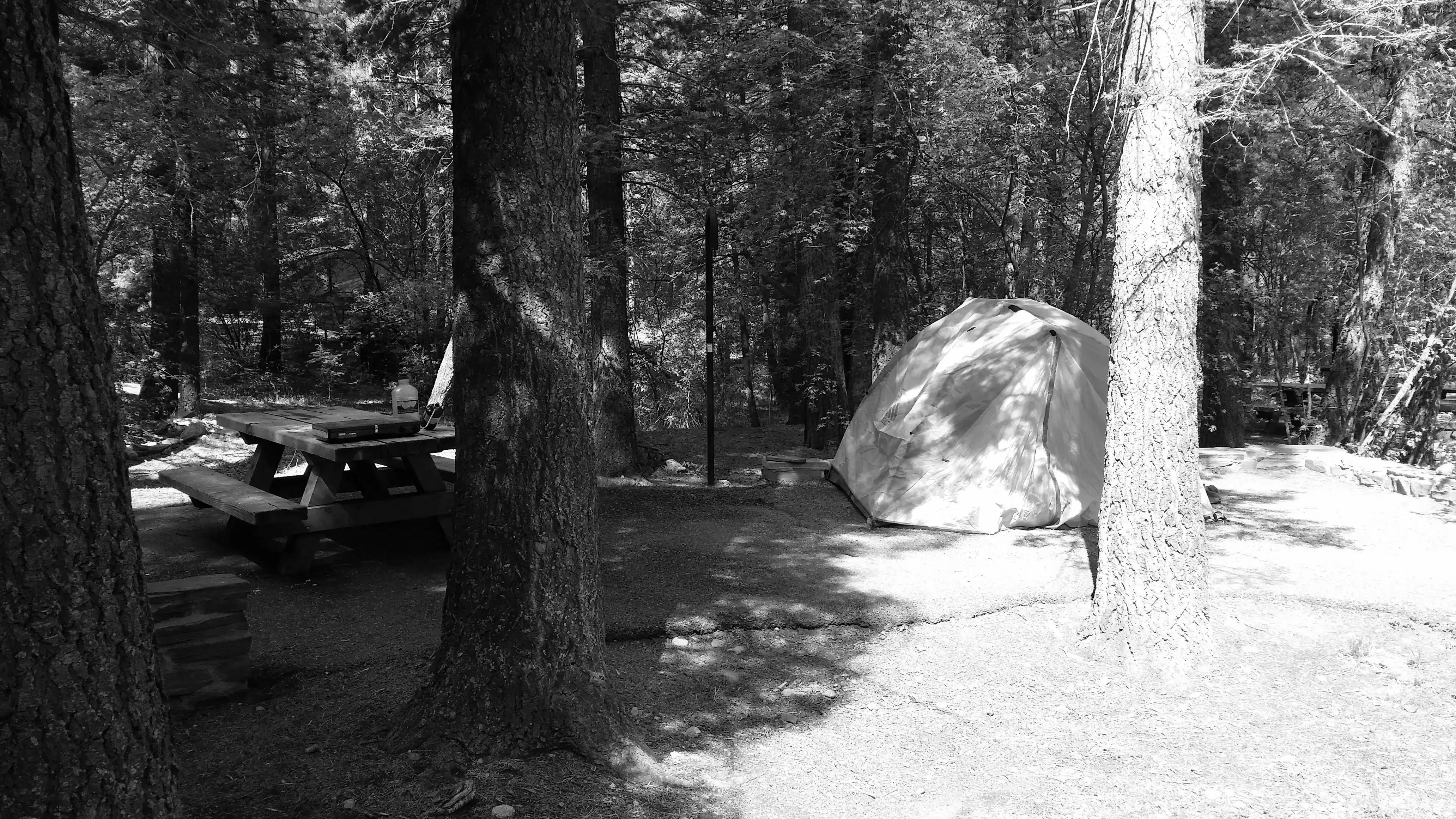 Best Winston Campgrounds