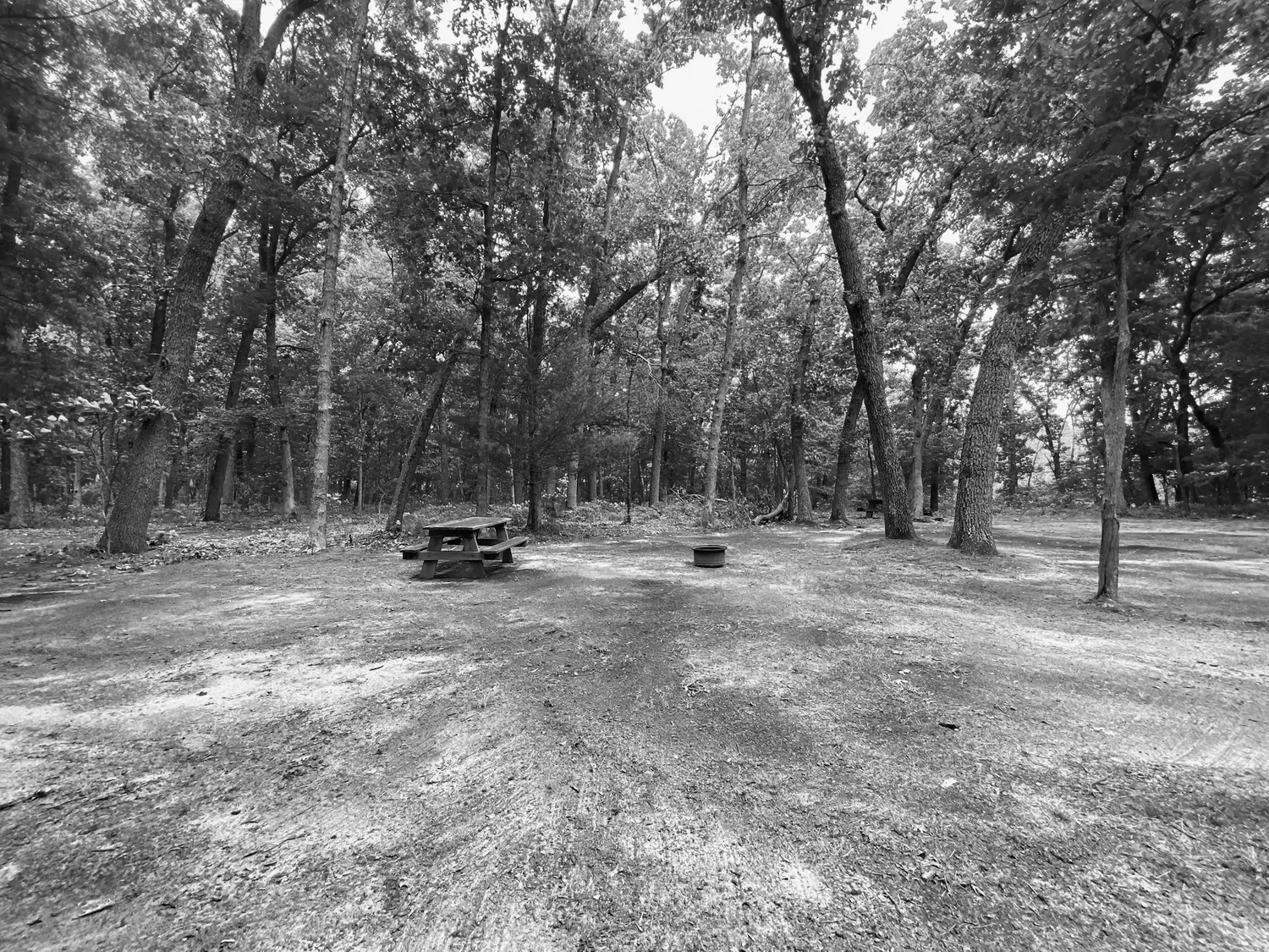 Best Wolf Lake Campgrounds