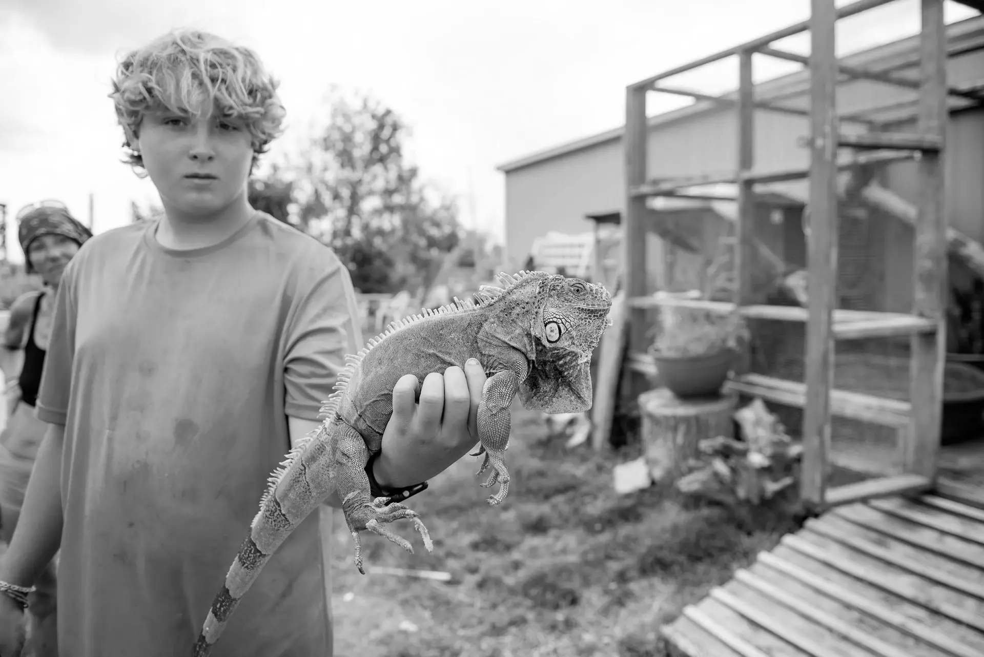 Best Woodhaven Campgrounds