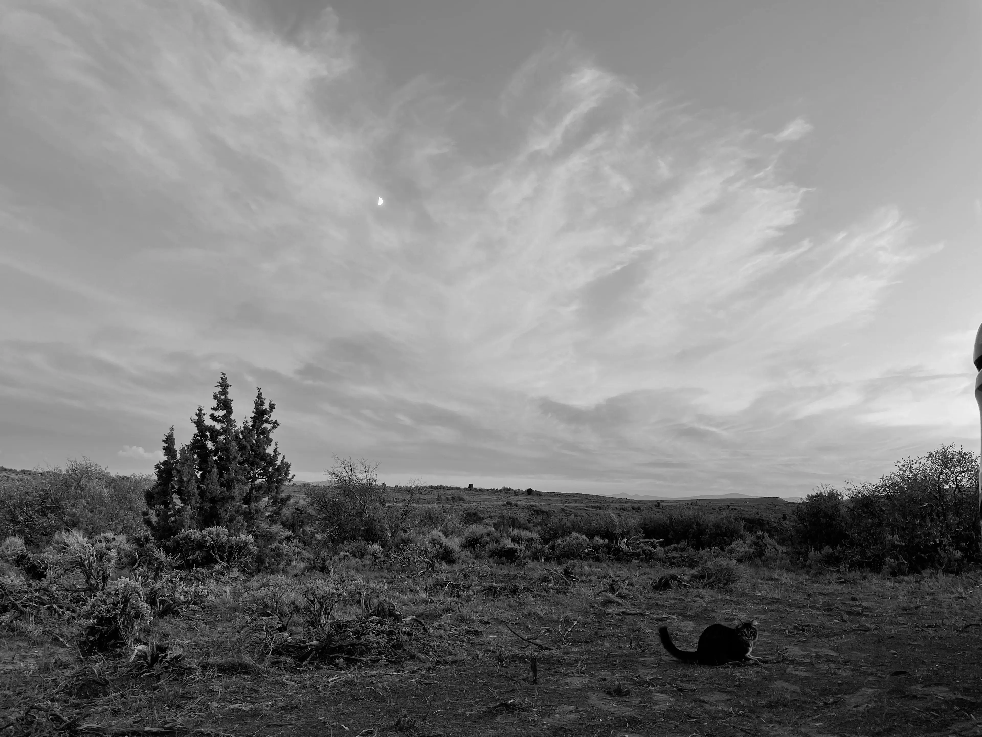 Best Yellow Pine Campgrounds