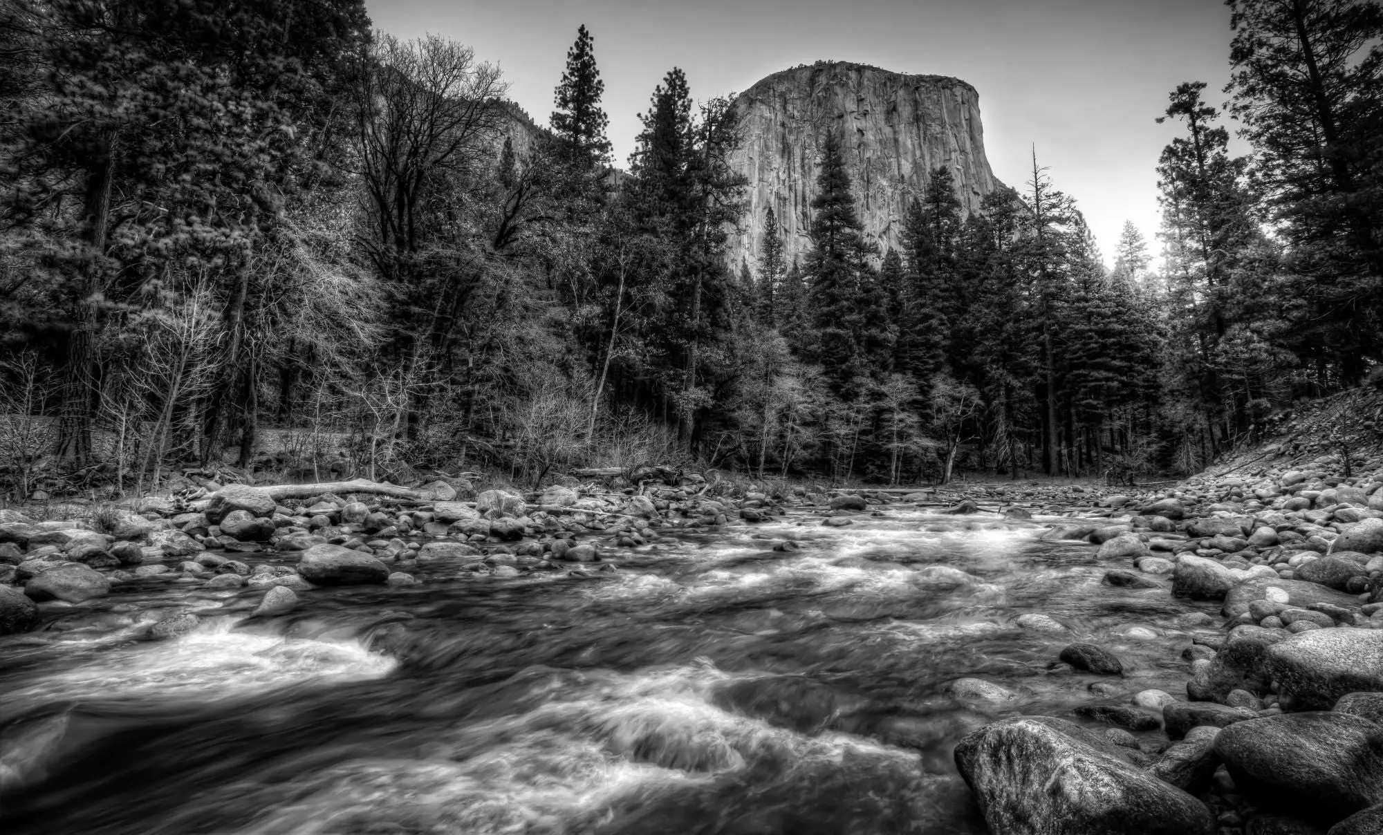 Best Yosemite Campgrounds