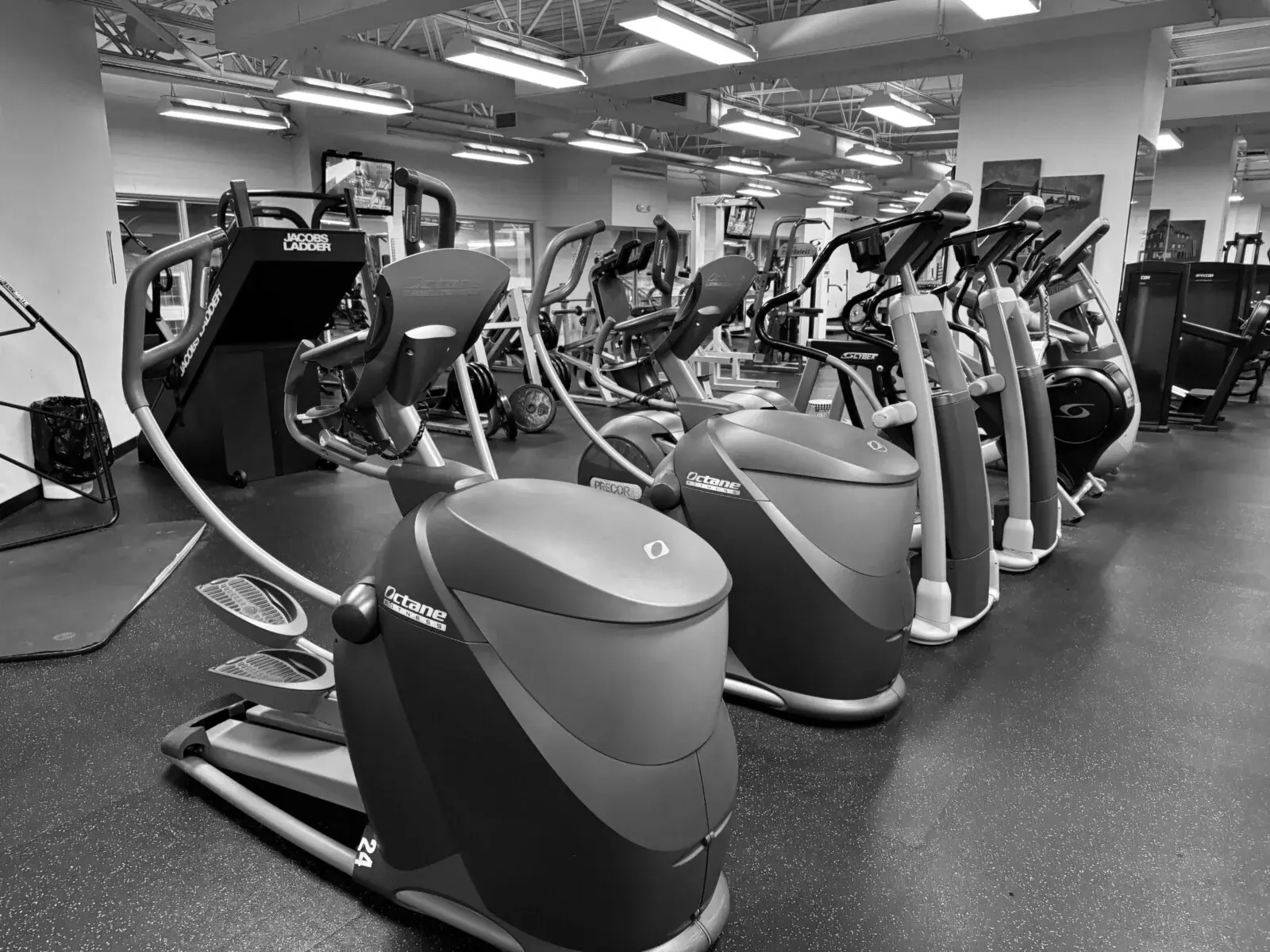 Best Gyms in Carbondale PA