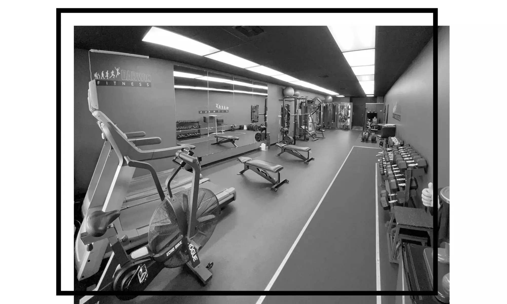 Best Gyms in Longwood FL