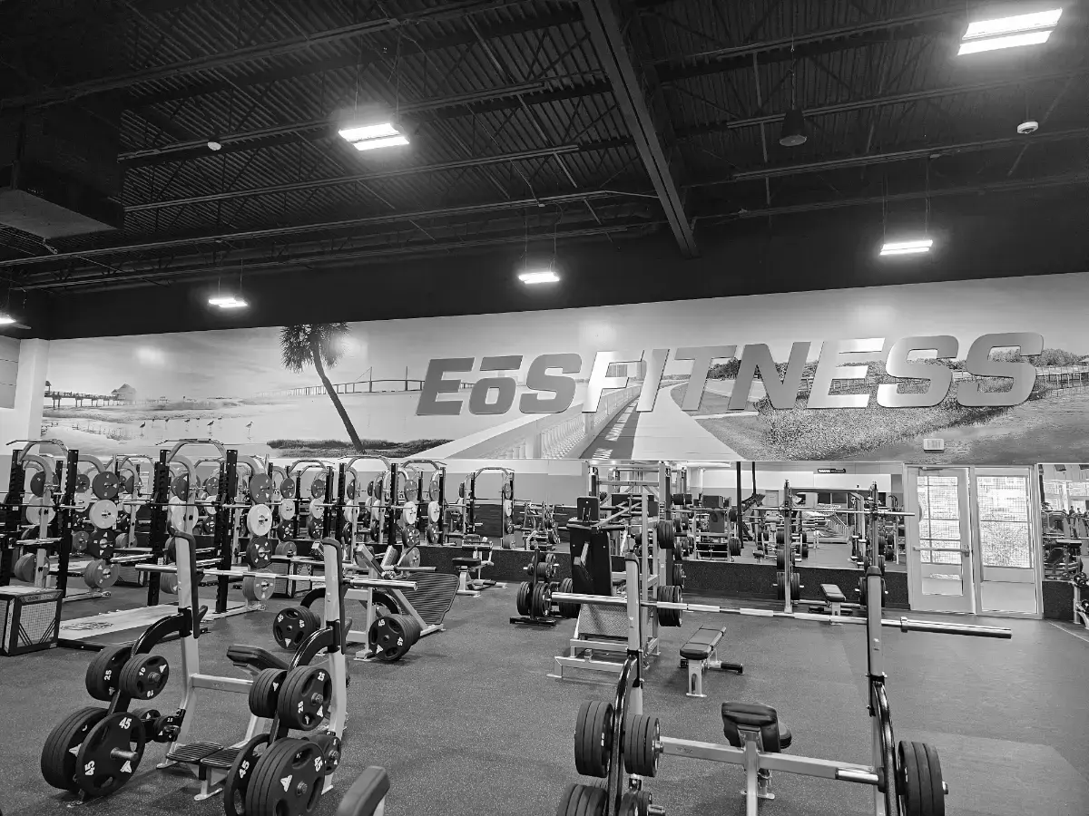 Best Gyms in Lutz FL