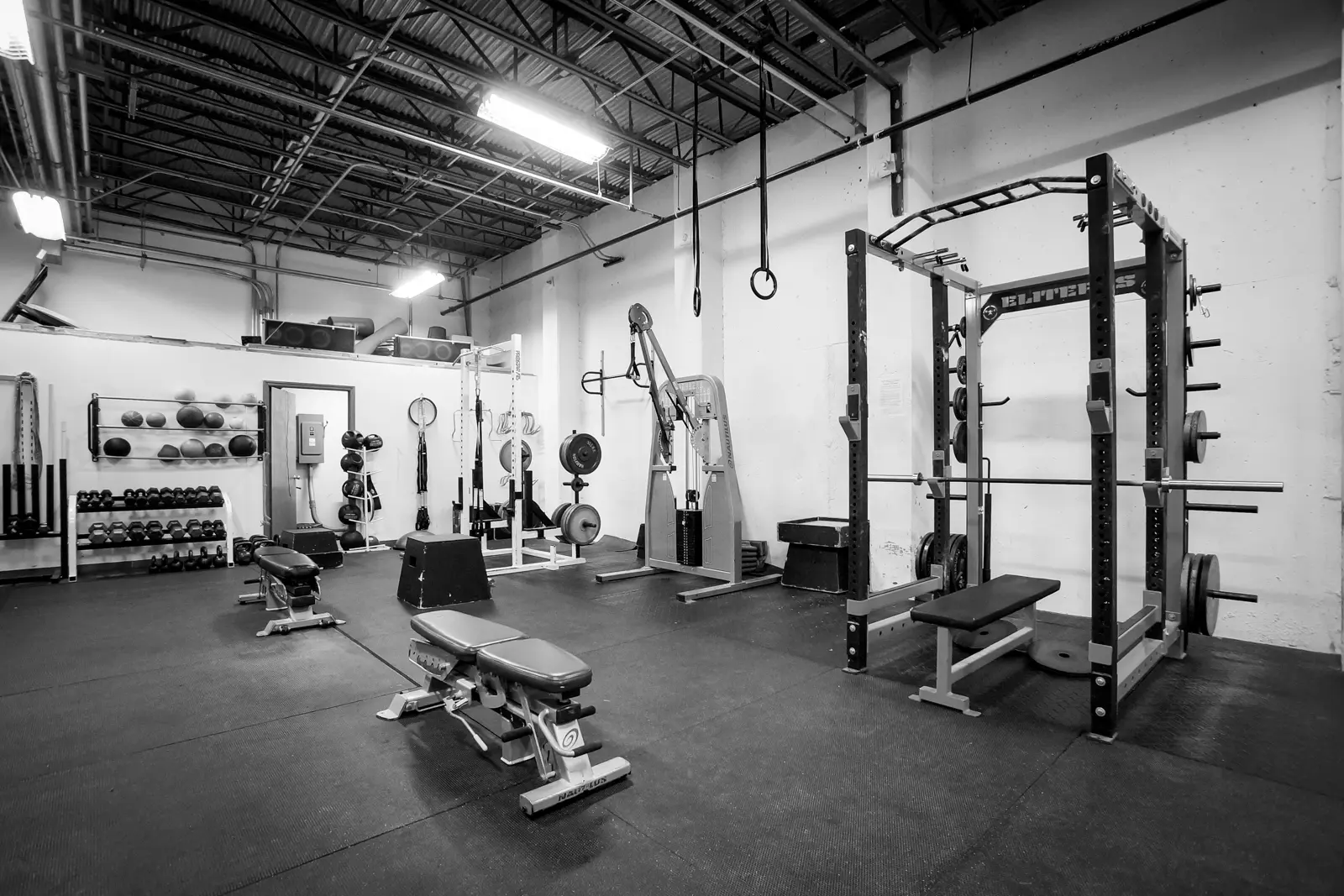 Best Gyms in Morton IL