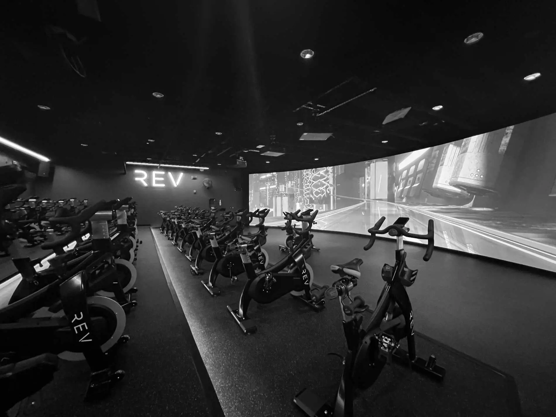 Best Gyms in Newtown PA