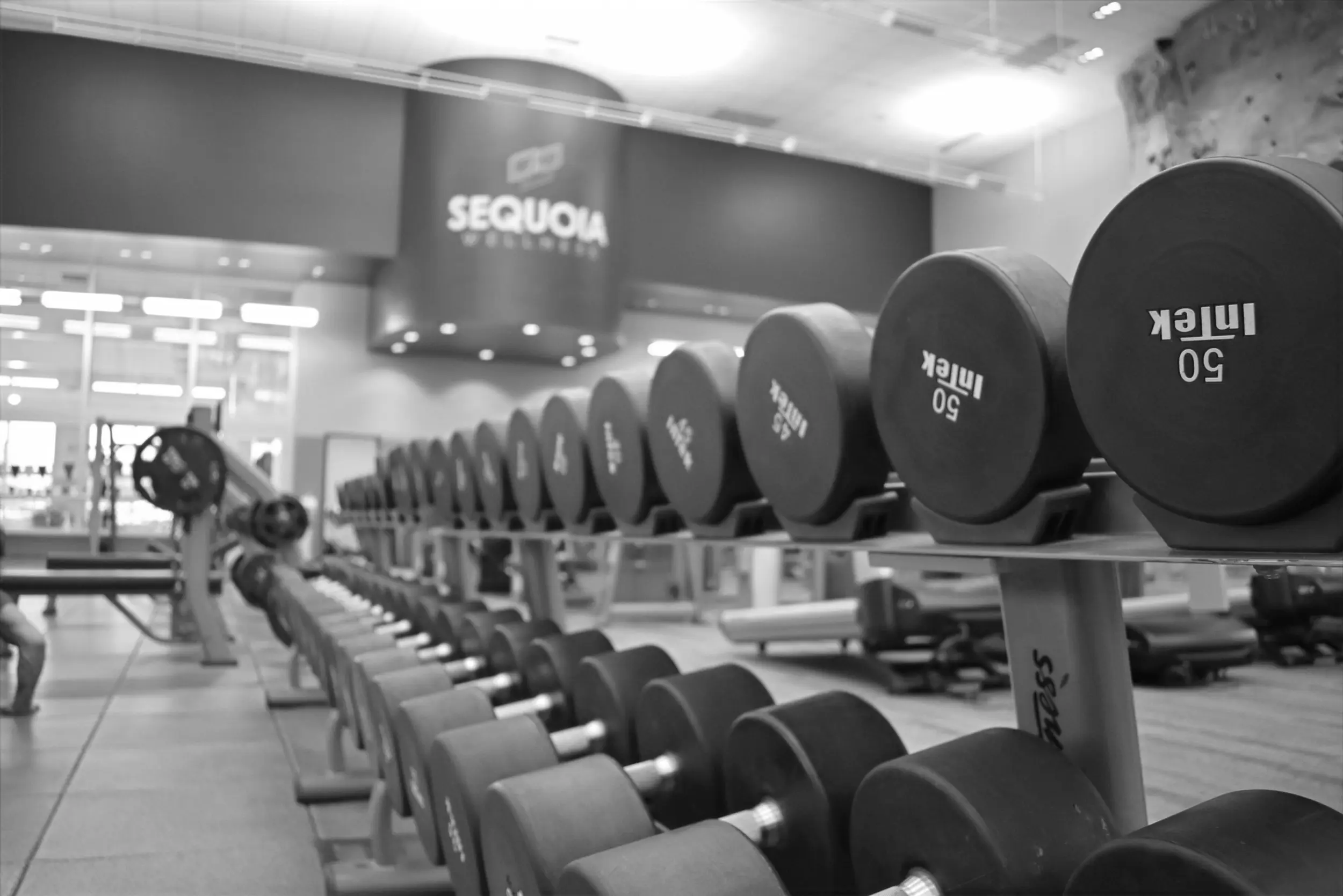 Best Gyms in Rootstown OH