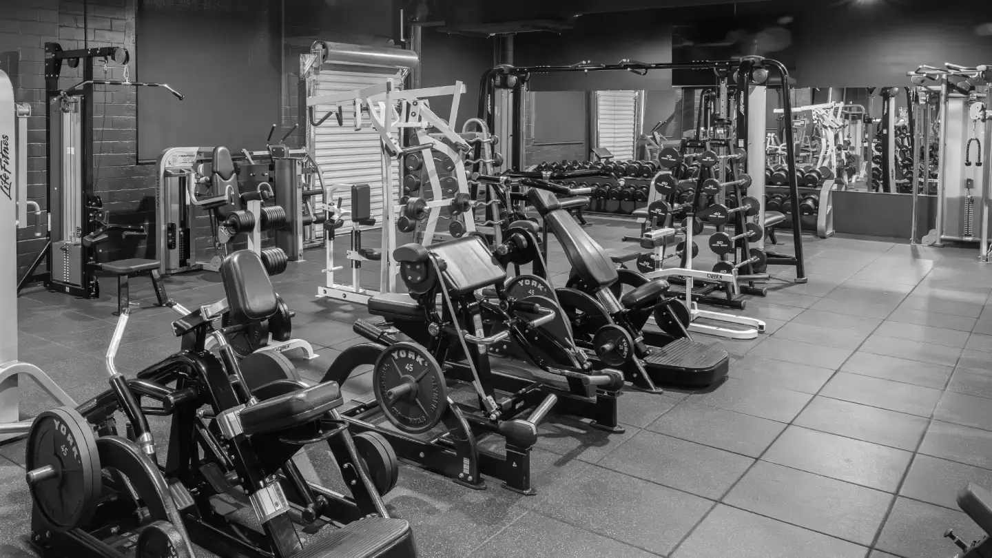 Best Gyms in Saint Petersburg FL