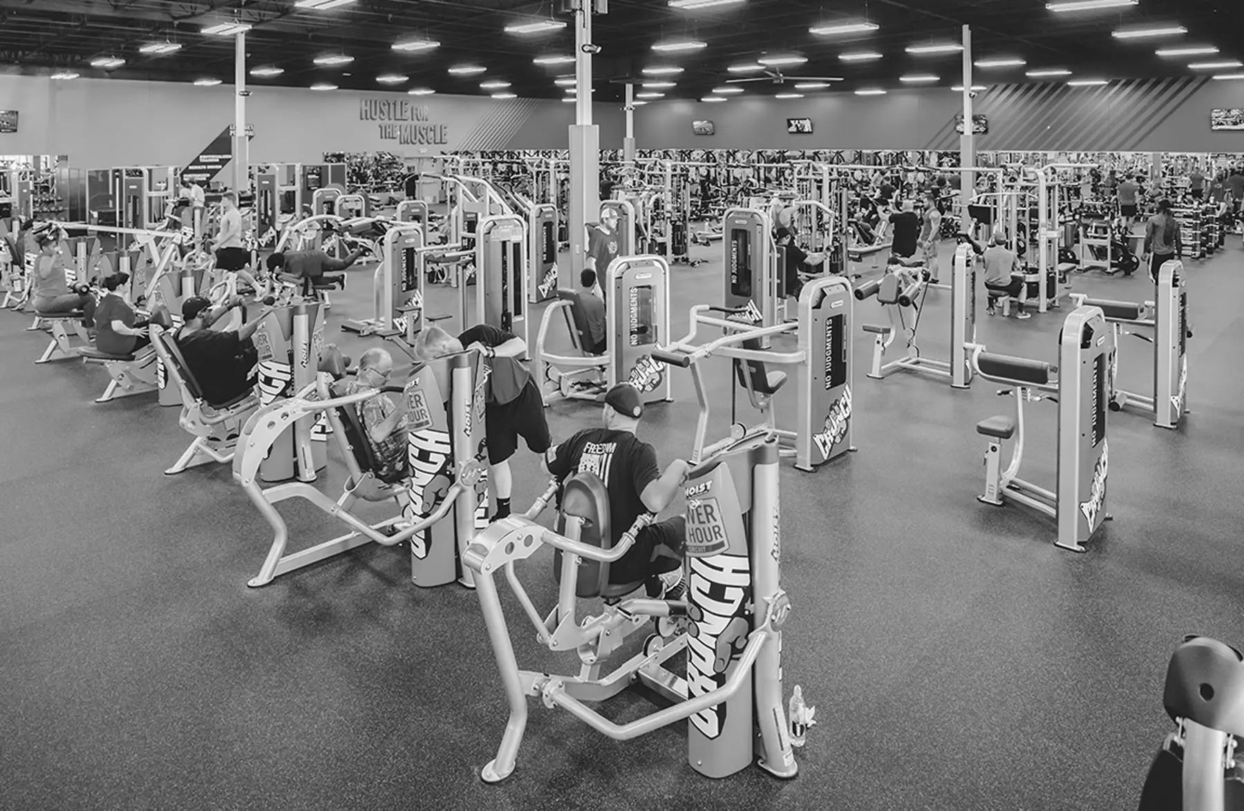 Best Gyms in Summerfield FL
