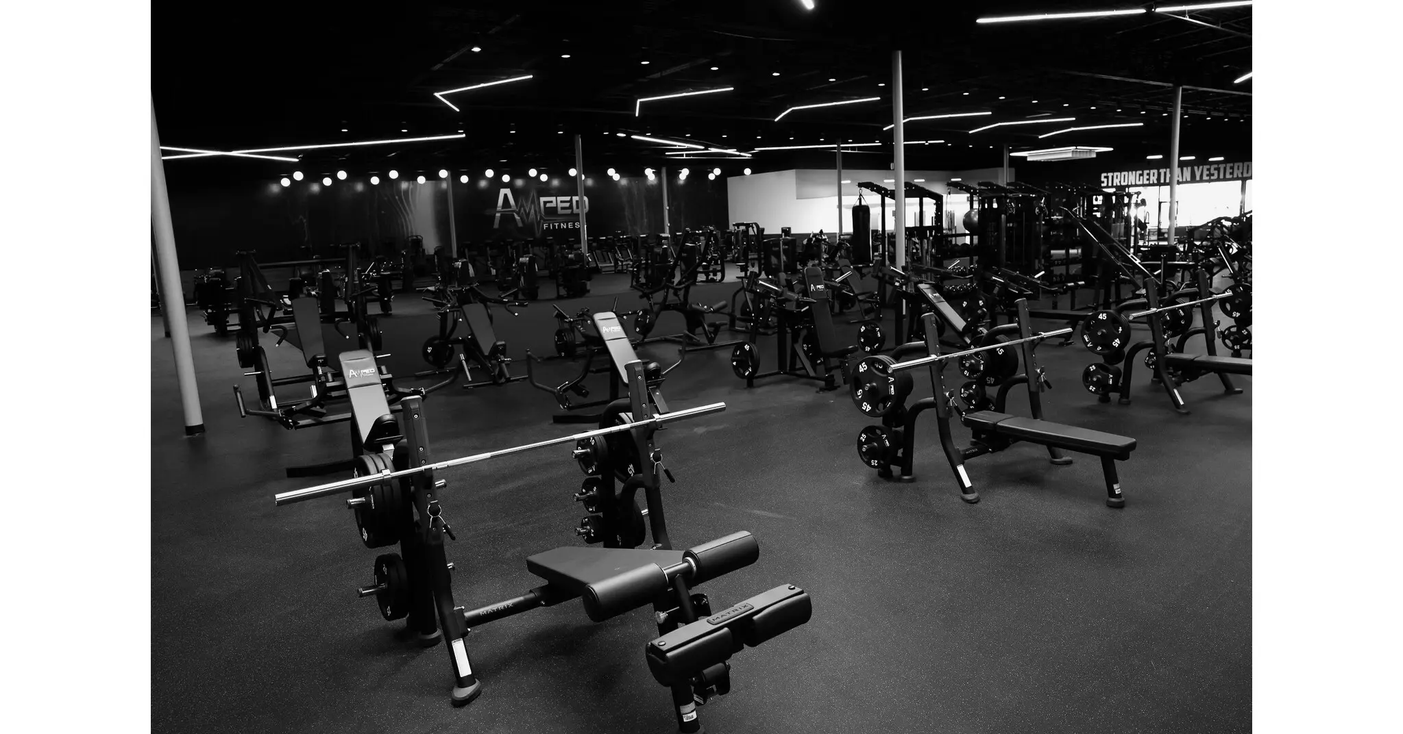 Best Gyms in Tallahassee FL