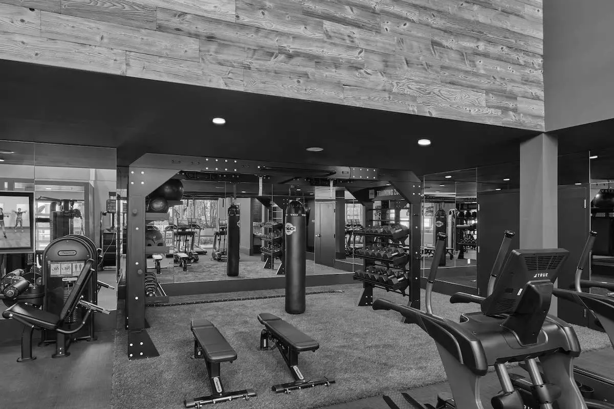 Best Gyms in Tampa FL