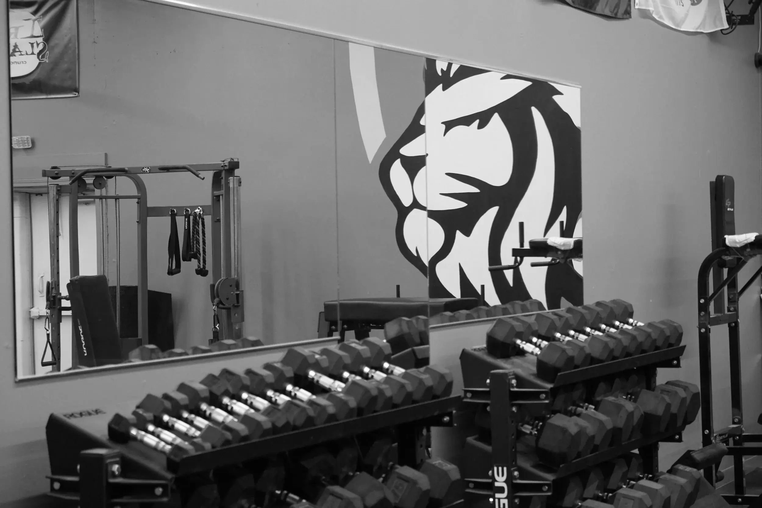 Best Gyms in Victoria MN