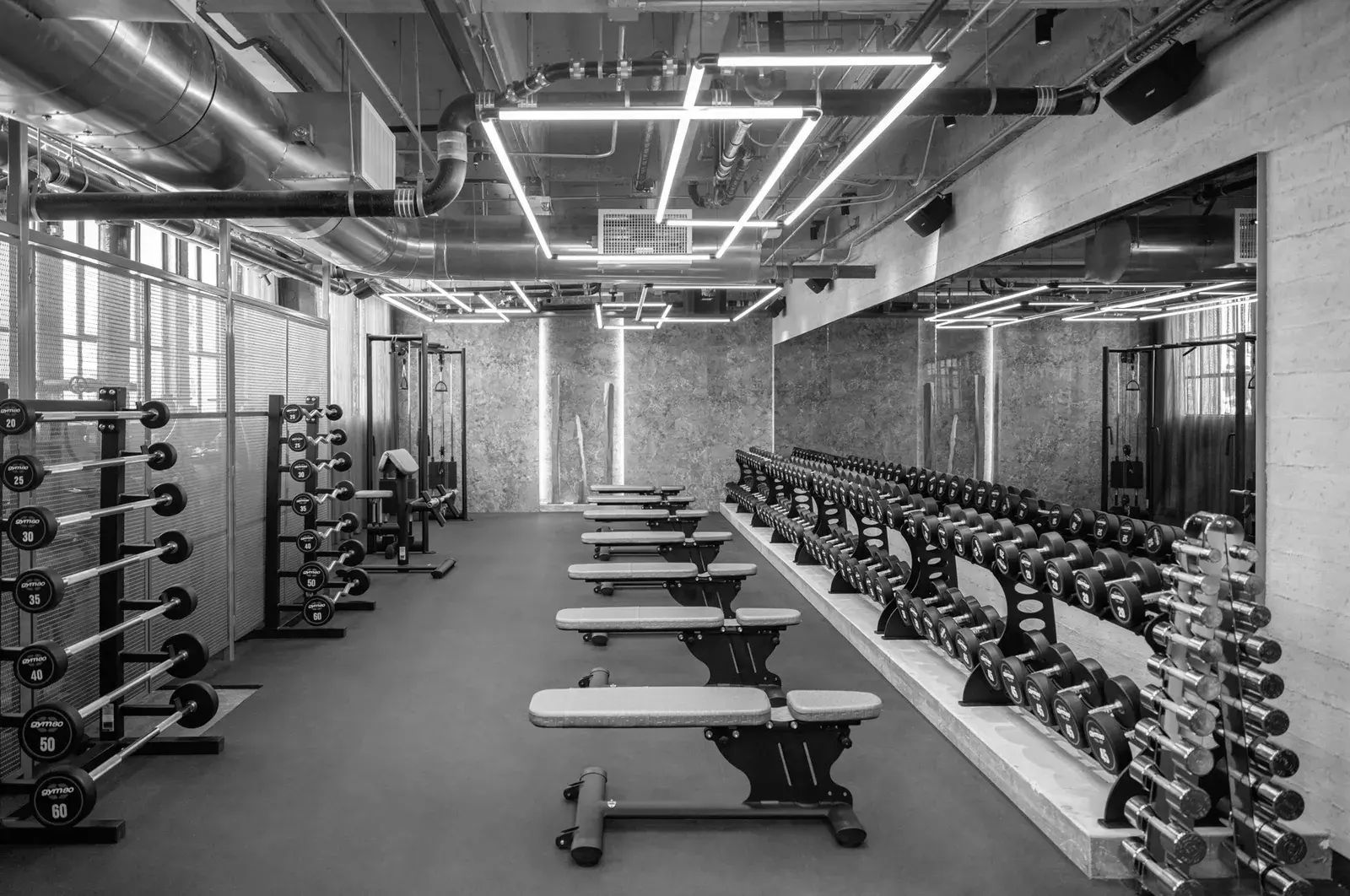Best Gyms in West Hollywood CA