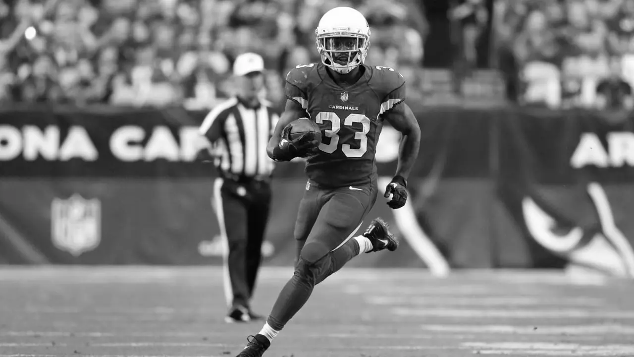 Kerwynn Williams college football running back