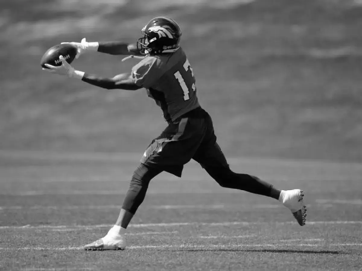 Nathan Palmer college football wide receiver