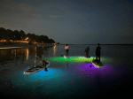 Paddle Board Lights