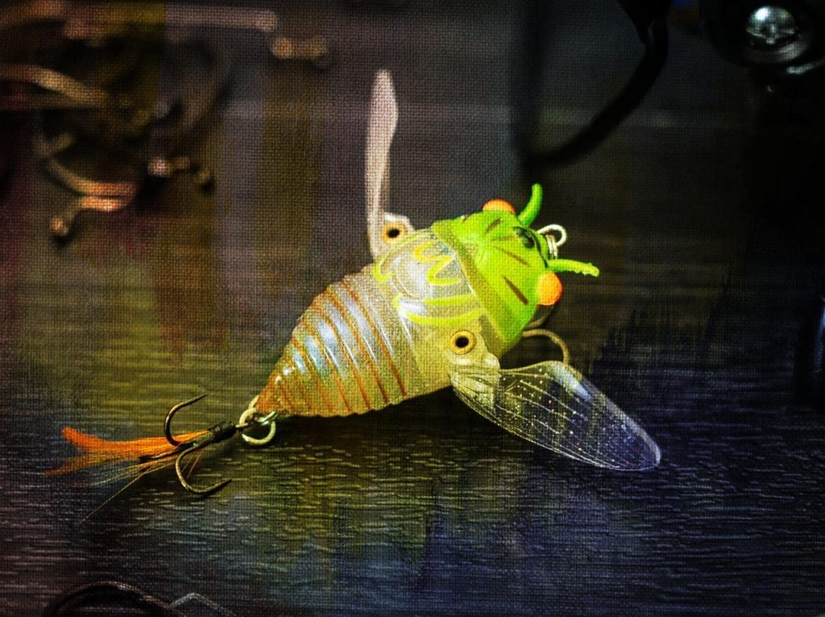 Bass Fishing Lures