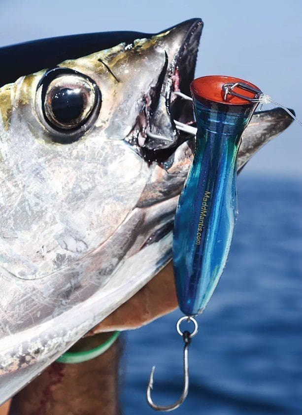 Best Saltwater Fishing Lures 2023 Pier, Inshore & Night Lure