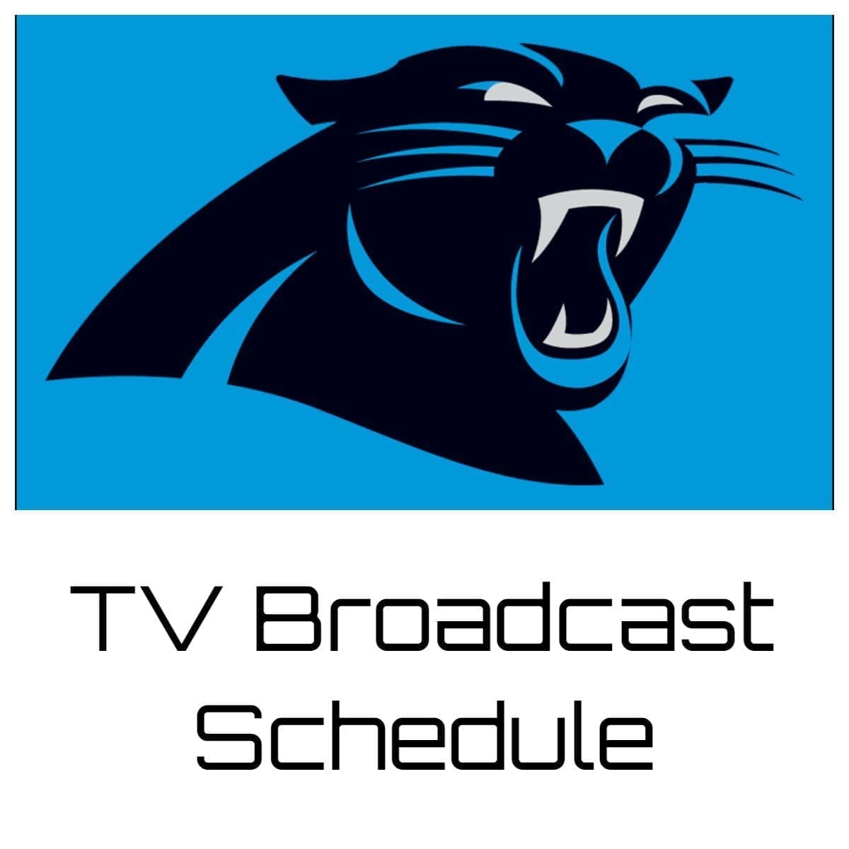Carolina Panthers TV Broadcast Schedule 2022 Printable PDF