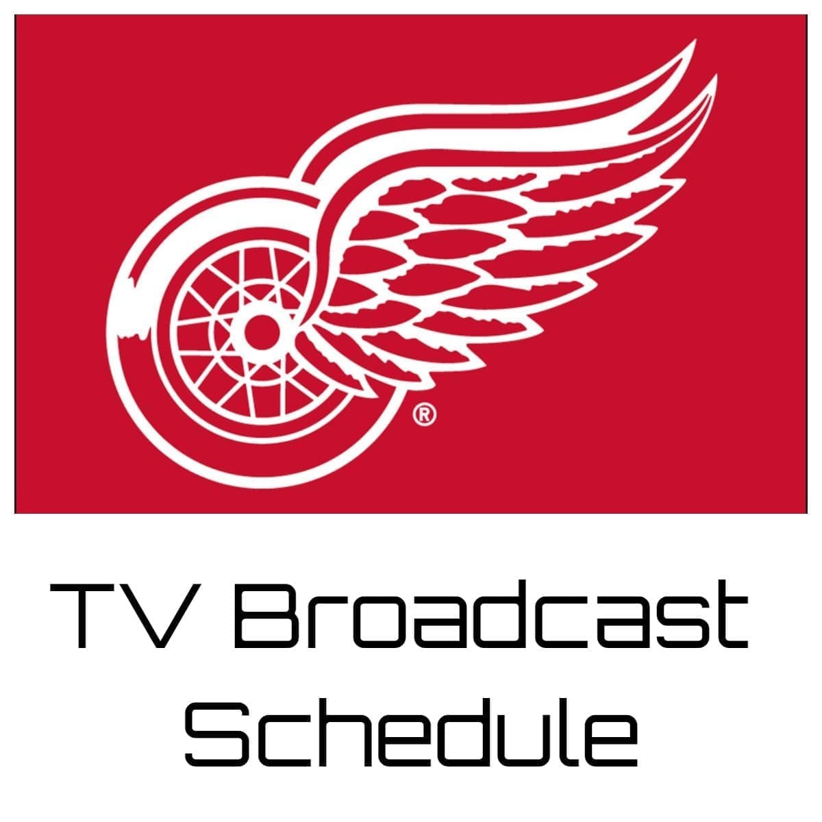 Detroit Red Wings TV Broadcast Schedule 202324 Bally Sports Detroit