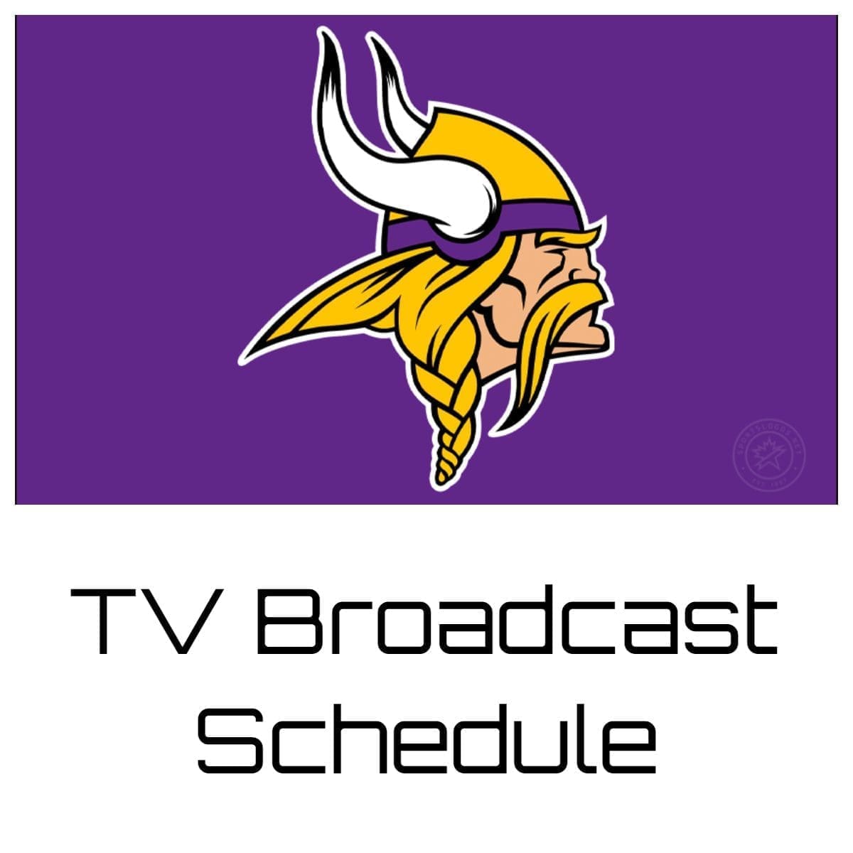 Minnesota Vikings TV Broadcast Schedule 202425 Printable PDF