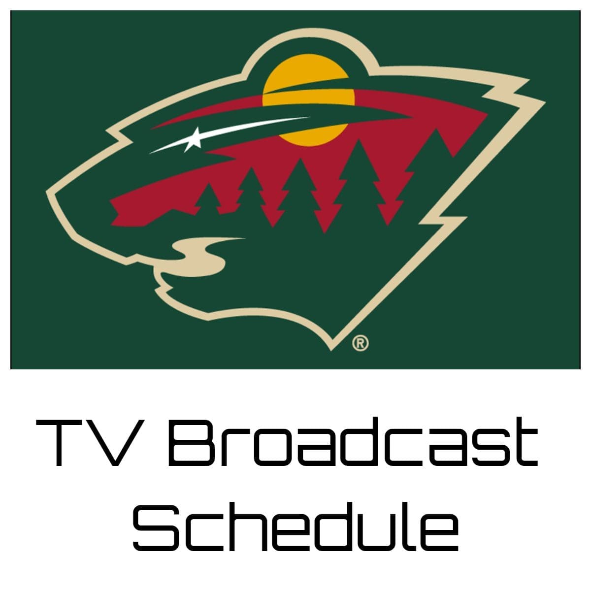 Minnesota Wild TV Broadcast Schedule
