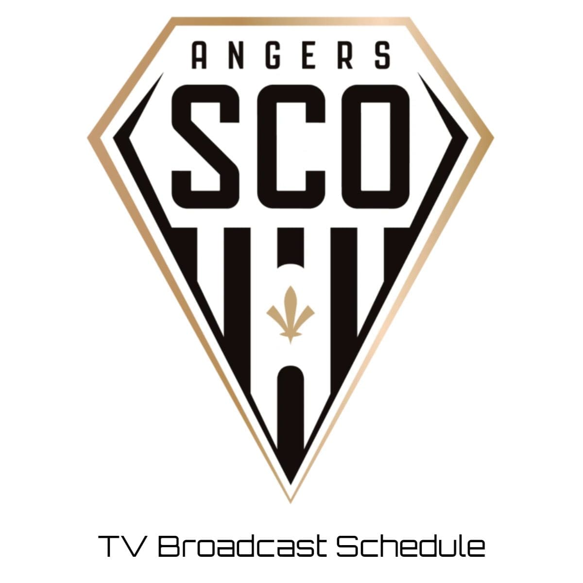 Angers TV Broadcast Schedule