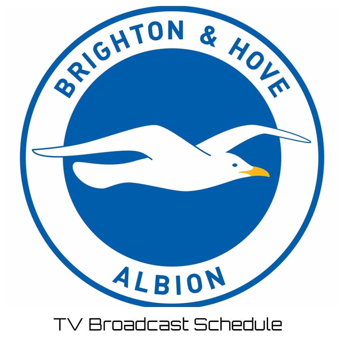 Brighton TV Broadcast Schedule