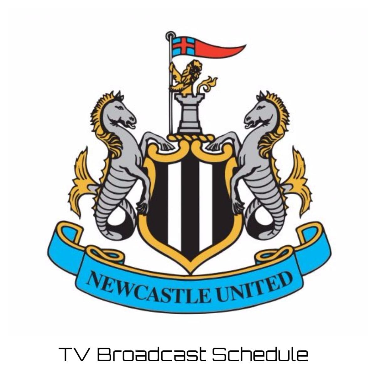 Newcastle United TV Broadcast Schedule