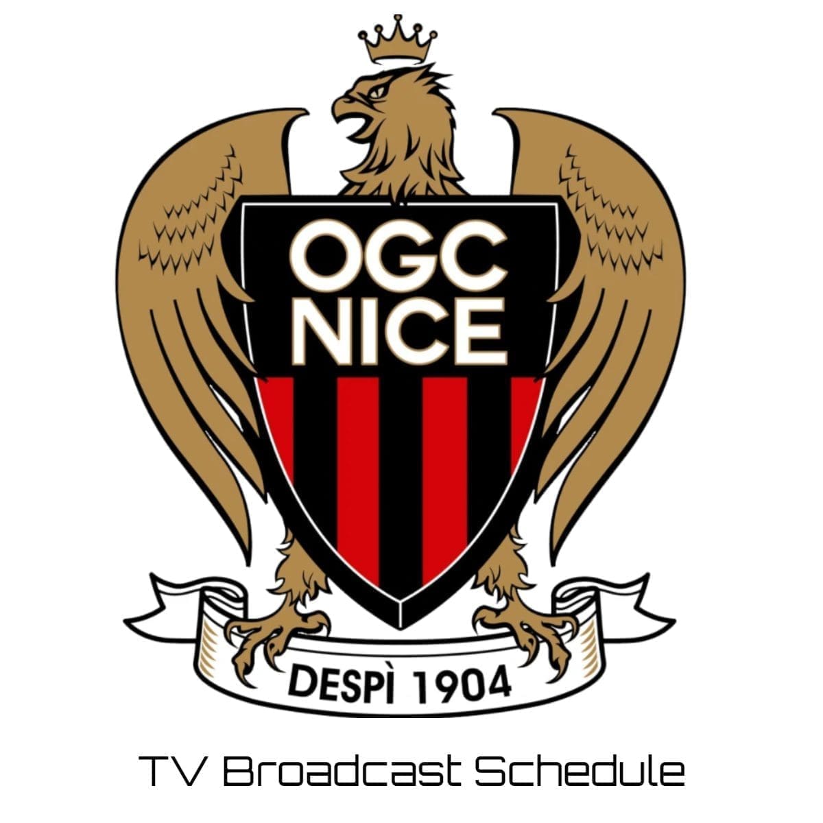 Nice TV Broadcast Schedule