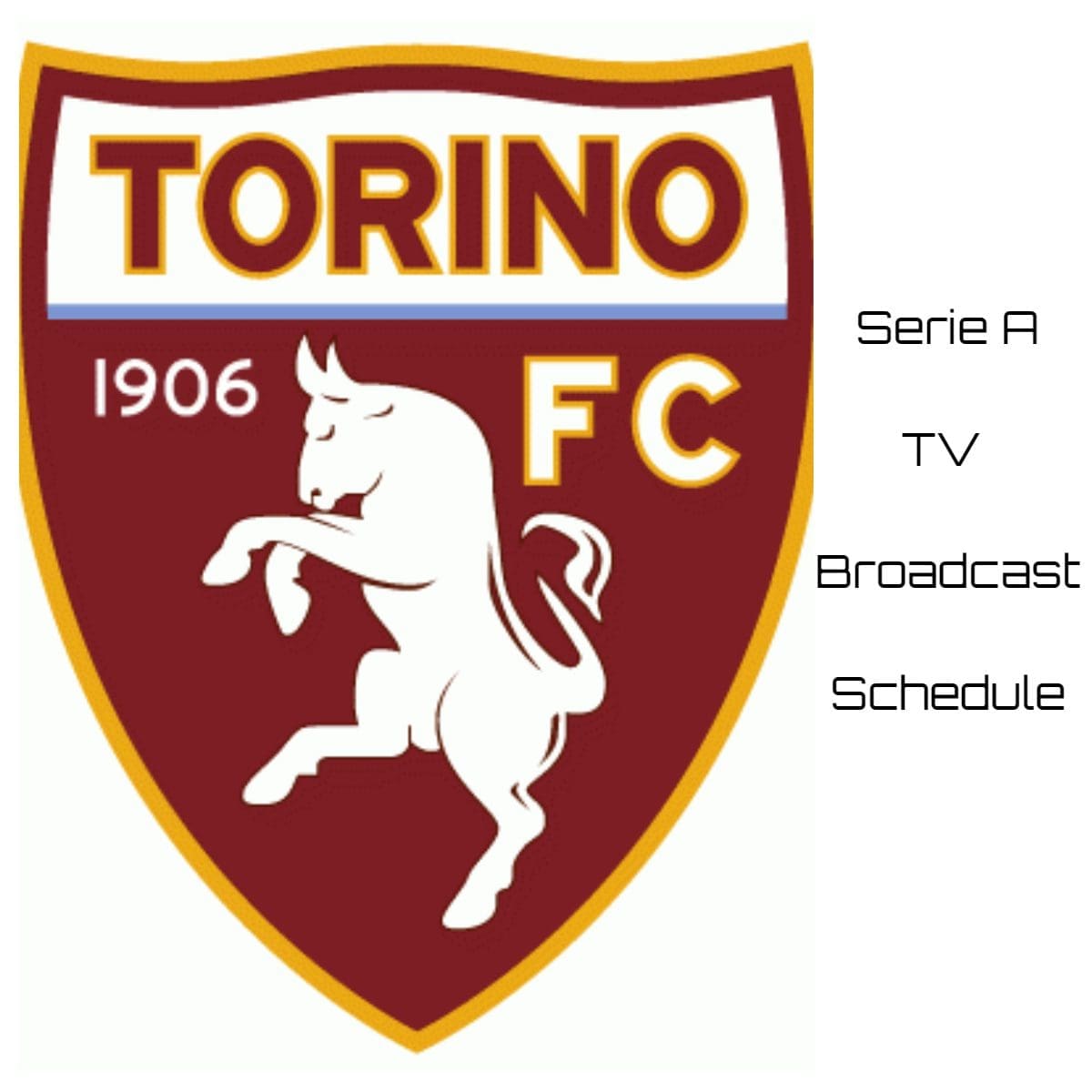 Torino TV Broadcast Schedule