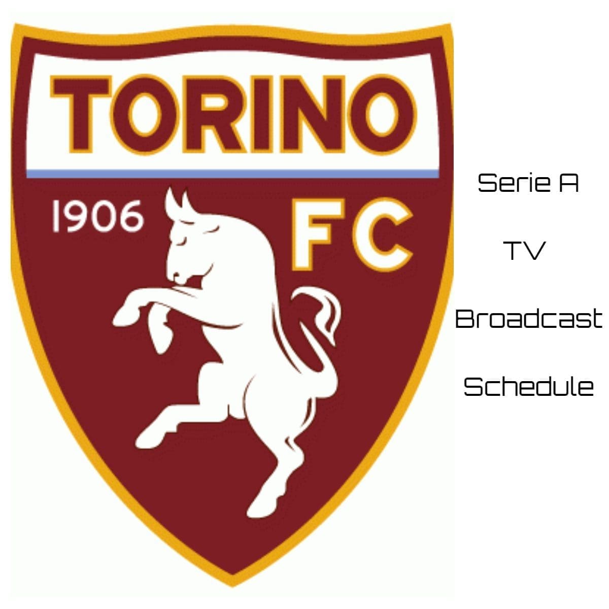 Torino TV Broadcast Schedule