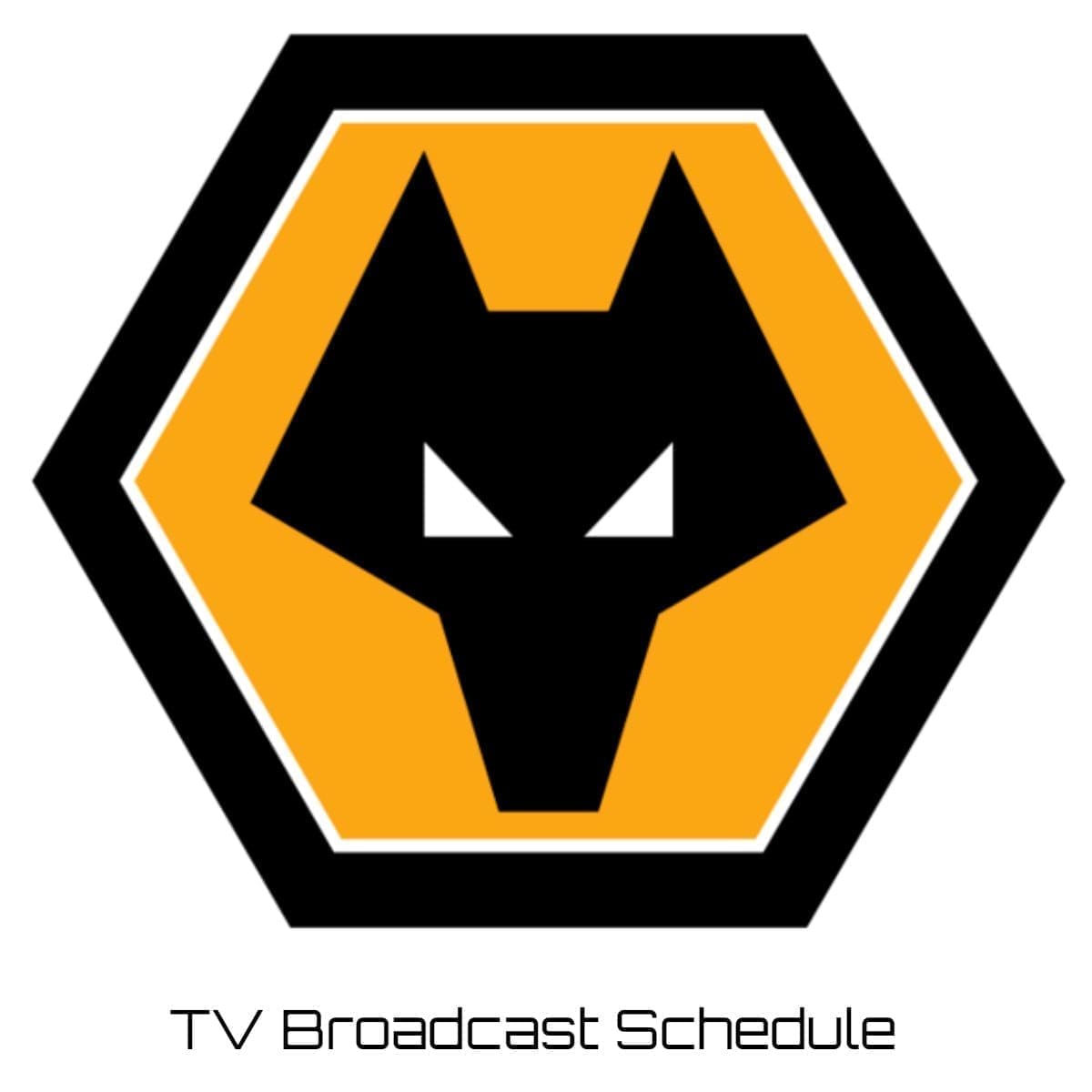 Wolverhampton TV Broadcast Schedule