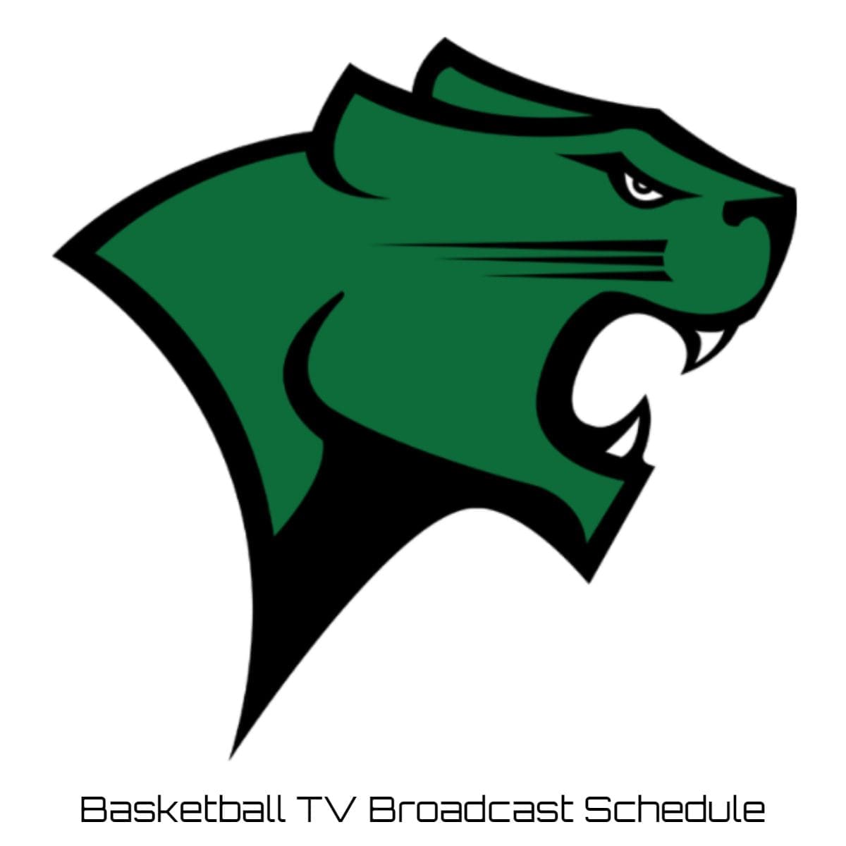 Chicago State Cougars Basketball TV Broadcast Schedule