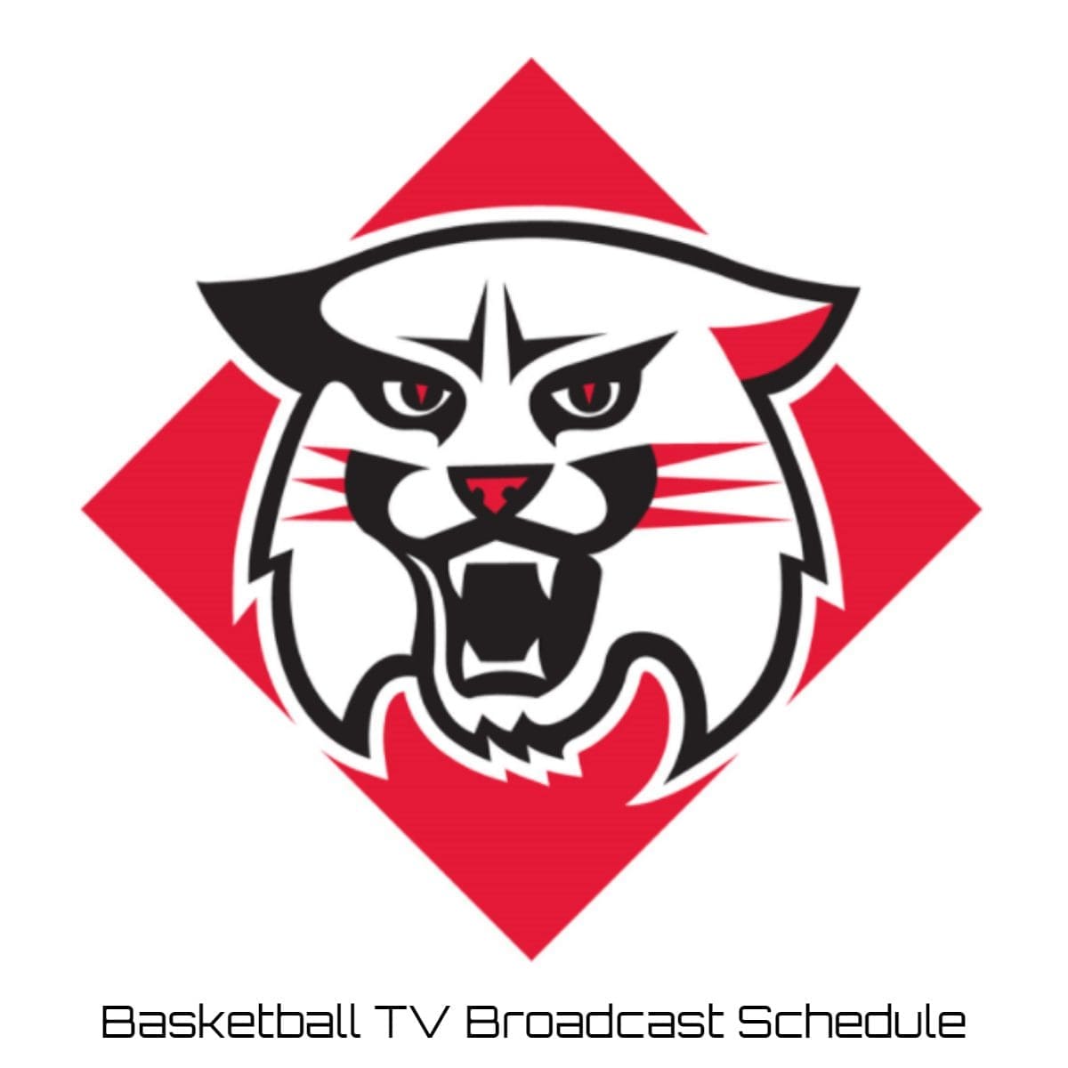 Davidson Wildcats Basketball TV Broadcast Schedule
