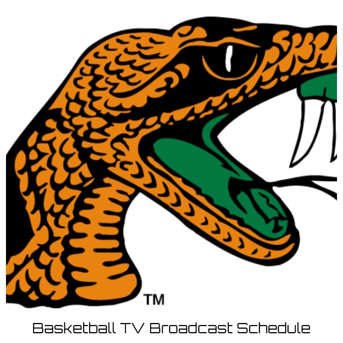 Florida A&M Rattlers Basketball TV Broadcast Schedule