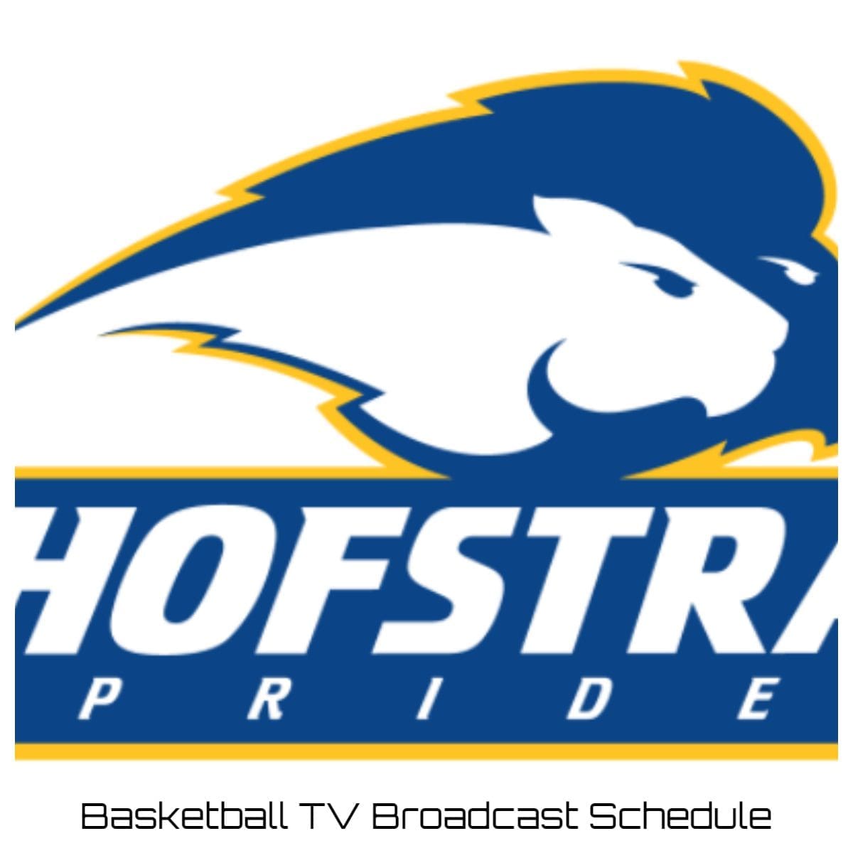 Hofstra Pride Basketball TV Broadcast Schedule