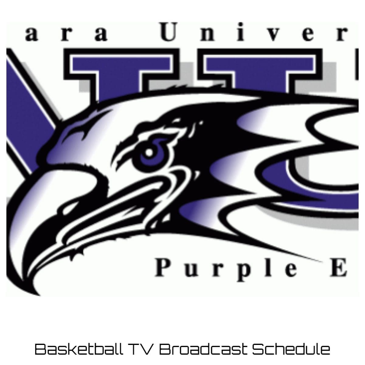 Niagara Purple Eagles Basketball TV Broadcast Schedule