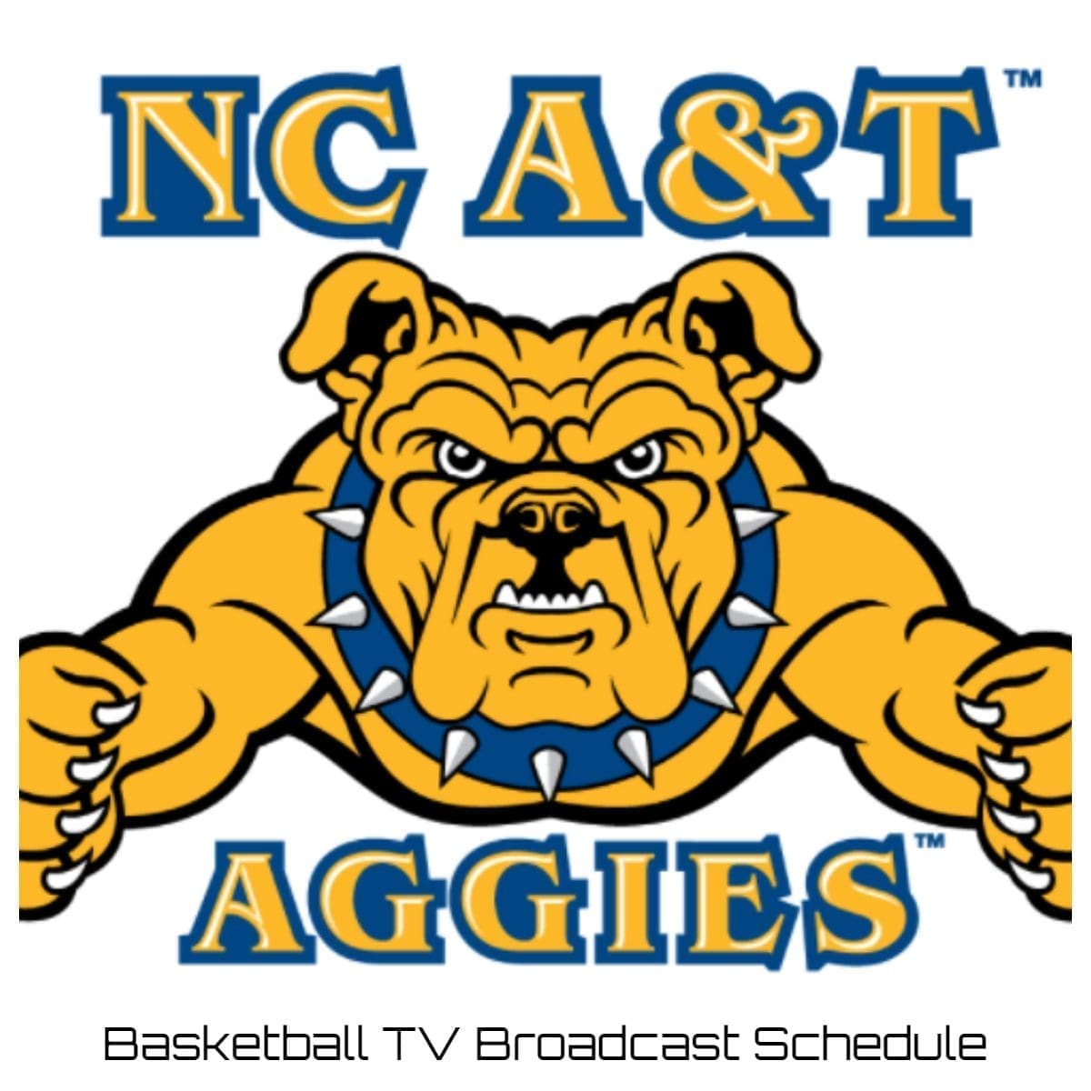 North Carolina A&T Aggies Basketball TV Broadcast Schedule 2022-23