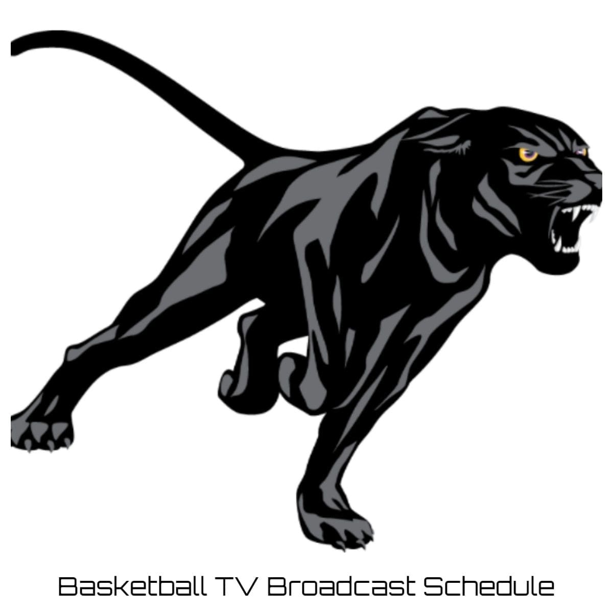 Prairie View A&M Panthers Basketball TV Broadcast Schedule