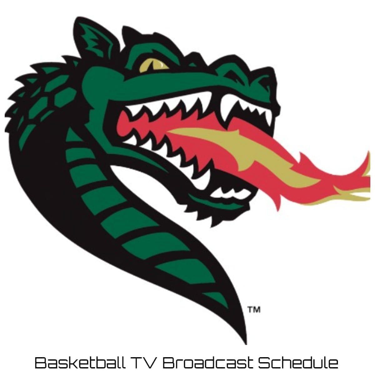 UAB Blazers Basketball TV Broadcast Schedule 2021 22 Printable PDF