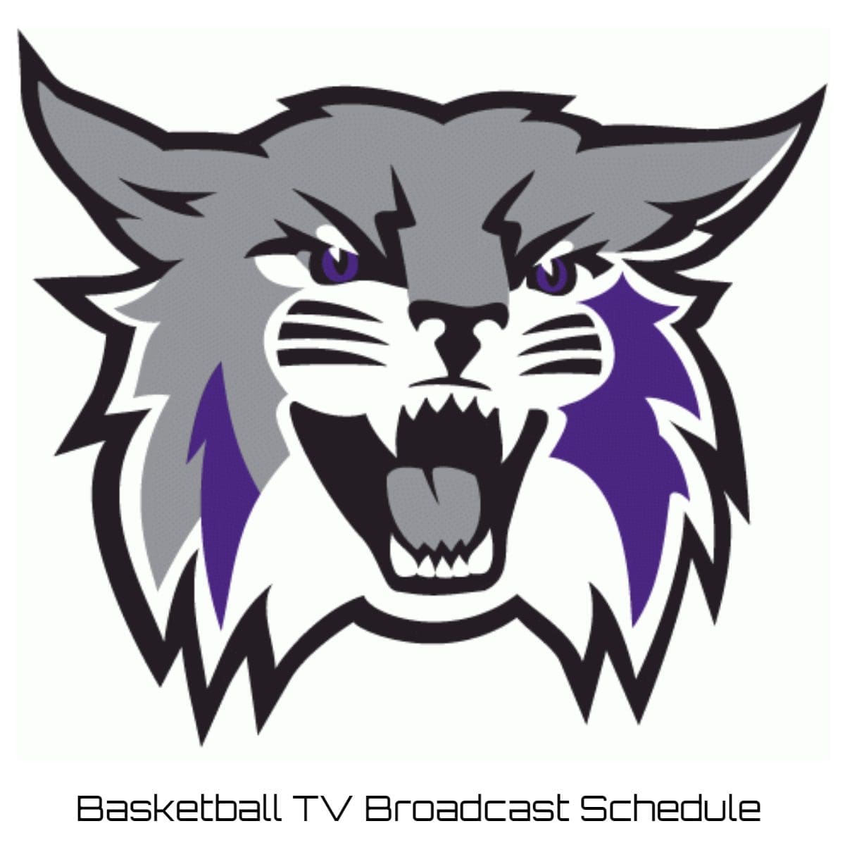 Weber State Wildcats Basketball TV Broadcast Schedule