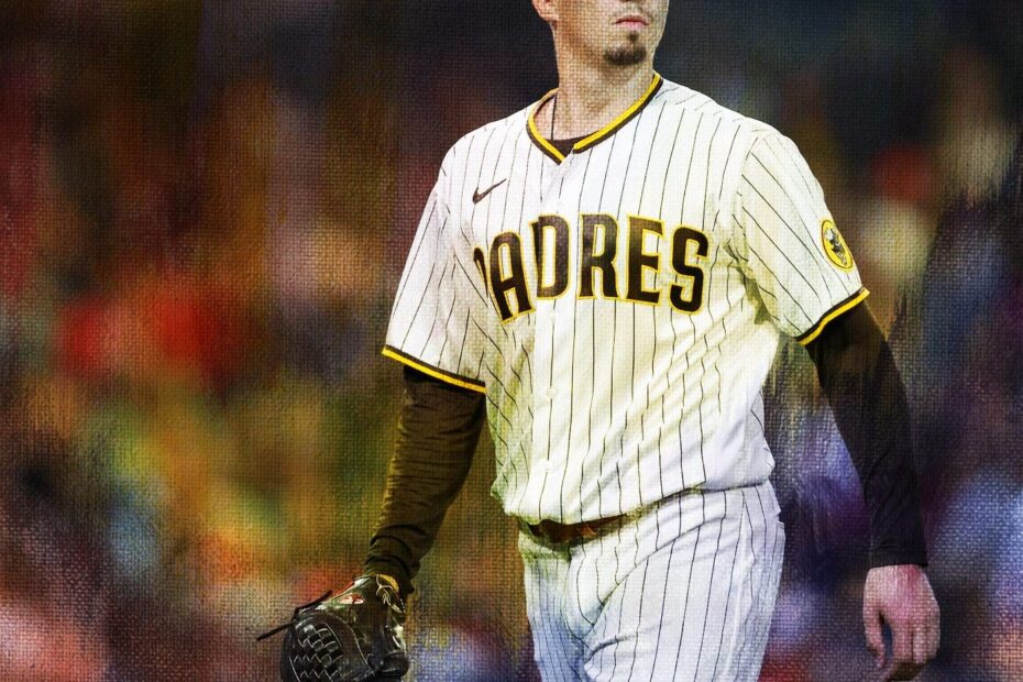 Blake Snell Stats