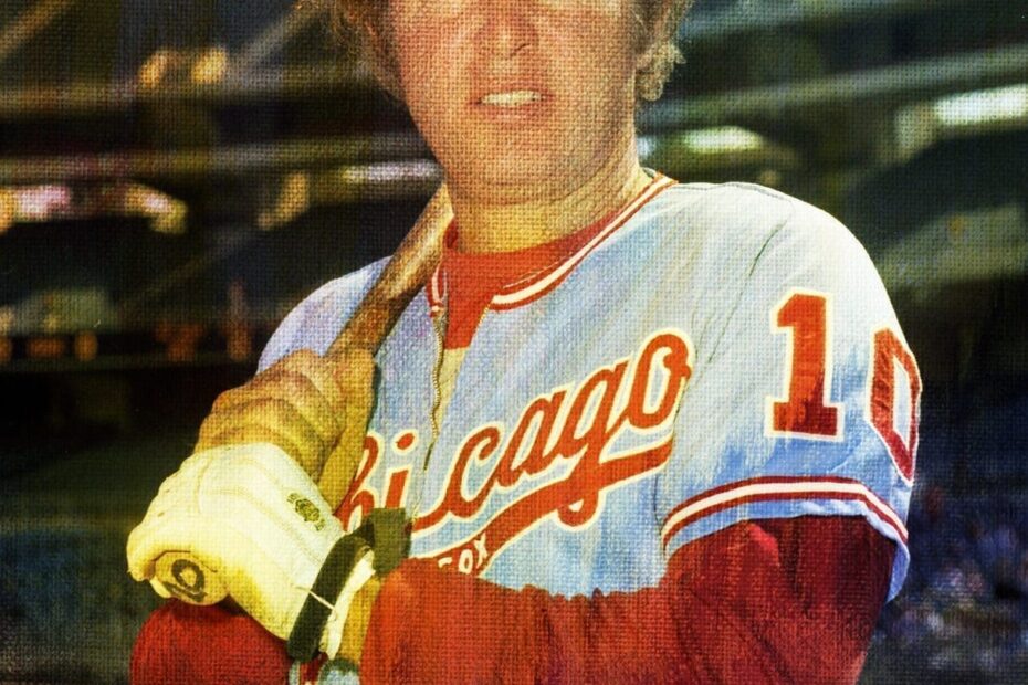 Ron Santo Stats