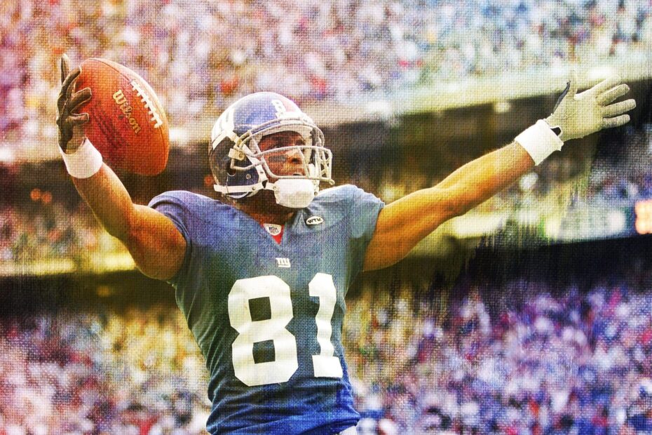 Amani Toomer Stats